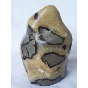   Hand Carved and Polished Septarian Free Form, 9.11.11 