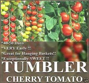 Tomato Seeds   HEIRLOOM   TUMBLER CHERRY GRAPE~~BASKET~  