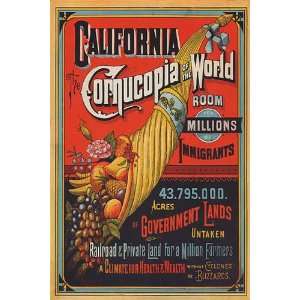  CALIFORNIA CORNUCOPIA OF THE WORLD FRUITS VEGETABLES FARMS 