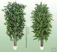 Potted 7 Real Wood Artificial Ficus + Mango Tree  