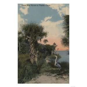 Great Blue Heron on Florida Coast Beach   Florida Giclee Poster Print 