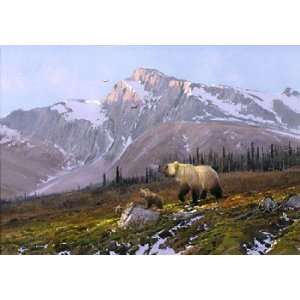 Michael Coleman   Alaskan Dawn   Grizzly Family Artists Proof Canvas 