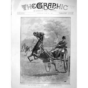   1898 Richmond Horse Show Horse Bolting Jumping Ropes