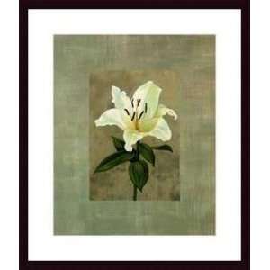   Lily   Artist ANDREA TRIVELLI  Poster Size 19 X 23