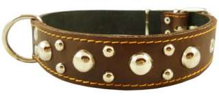 17 22.5 Double Ply Leather Dog Collar Studs 1.5 Wide Brown Large 