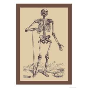  Skeleton with Shovel by Andreas Vesalius 12x18