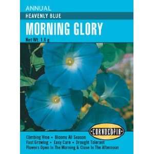 Morning Glory Heavenly Blue Seeds Patio, Lawn & Garden