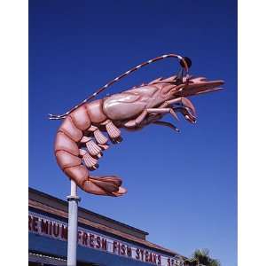  Galveston Seawall Shrimp Photograph   Beautiful 16x20 