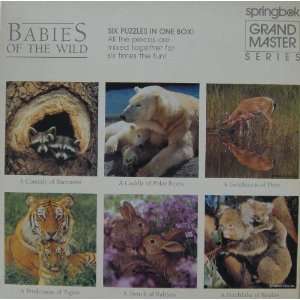  Babies of the Wild Puzzle ~ Six Puzzles in One Box ~ Over 