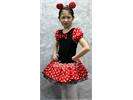   Minnie Mouse Girls Costume Dance Dress Ballet Leotard Tutu 1 9Y  