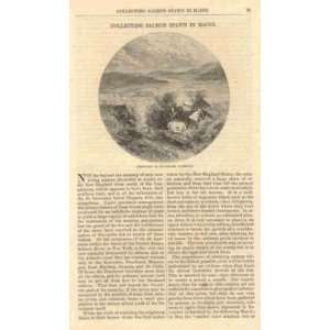  1874 Collecting Salmon Spawn in Maine Bucksport Narrows 