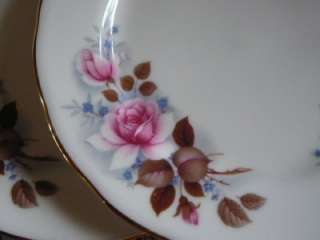 STUNNING VINTAGE TEA PLATES SIDE PLATES SET OF 6~QUEEN ANNE ROSES 