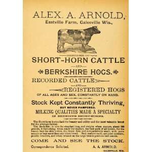  1893 Ad A. A. Arnold Galesville WI Breeder Cattle Hogs 