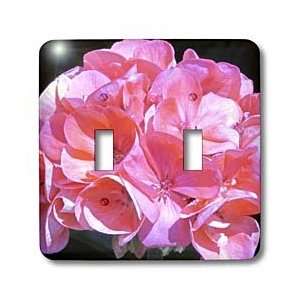 Jackie Popp Nature N Wildlife flowers   shades of pink   Light Switch 
