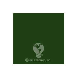  ROSCO 126 SHEET GREEN CYC SILK SHEET Gel Sheets 