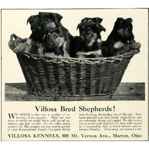  1930 Ad Villosa Kennels German Shepherd Puppies Dog Breeders 