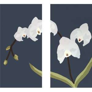  White Orchid Diptych Canvas Reproduction Baby