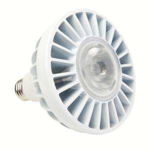 EcoSmart PAR38 18 Watt 75W LED Flood Light Bulb 672466009004  