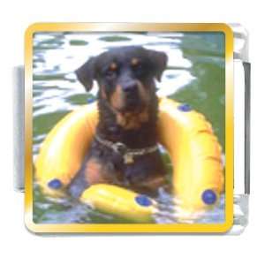  Dog Swimming With Floaty Animal Photo Italian Charms 