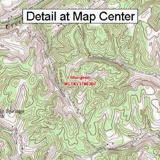  USGS Topographic Quadrangle Map   Sturgeon, Kentucky 