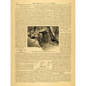   Park California Tunnel Tree   Original Print Article