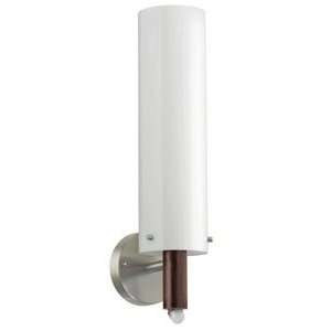    EGLO 89449A Dodo Wall Sconce, Stainless Steel