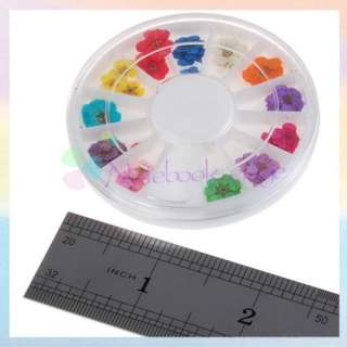 12 Colors Dried Flower Nail Art Tip Decoration Dish Gel  