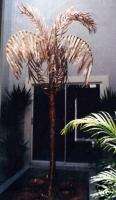 COPPER WATER FOUNTAIN PALM TREE FENG SHUI 17´ HIGH PUMP  