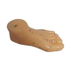 Acupuncture Human Foot Model 15cm