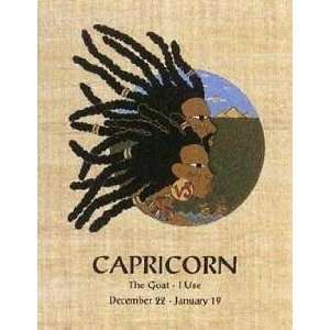  Capricorn (Dec 22 Jan 19) Poster Print