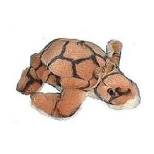  7 inch Baby Loggerhead Sea turtle plush Toys & Games