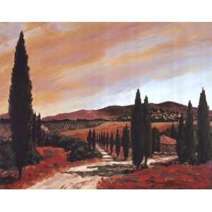  Tuscan Sunset II by D. J Smith 20x16