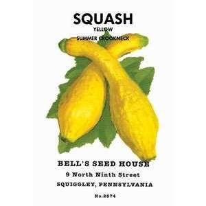  Paper poster printed on 12 x 18 stock. Squash Yellow 