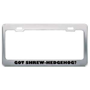  Got Shrew Hedgehog? Animals Pets Metal License Plate Frame 