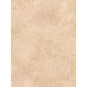  Wallpaper Brewster Andover Miniatures VI 41366362