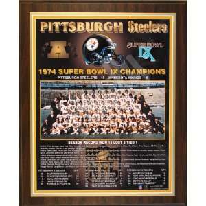  1974 Pittsburgh Steelers NFL Football Super Bowl 9 IX 