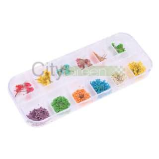 12 PCS Real Dry Dried Flower Case Nail Art Tips Design #21  