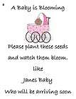 Baby Shower Seed Packets Favors 152a 30 Quantity