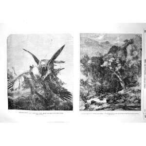  1856 GEEFALCONS KITE BIRDS PREY RAVINE GLEN TILT ART