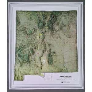  NEW MEXICO Raised Relief Map NCR Style with GOLD Plastic 