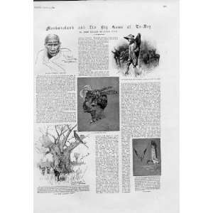  Mashonaland & Big Game Of 1894 1894 Print 17 Pictures 