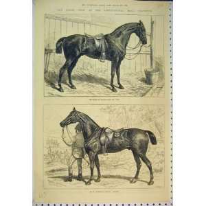  1874 Horse Show Prince Wales Cob Bob Armstrong Cashier 