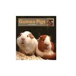  Guinea Pigs (9781583417232) Valerie Bodden Books