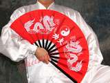 Chinese Knot Button Clothes Tai Chi Uniform made Silk White with red 