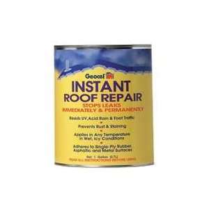  Geocel Corp. 25200 Pro Flex Clear Instant Roof Repair 