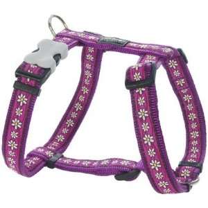 Red Dingo Designer Harness   Daisy Chain Purple   Large (Quantity of 2 