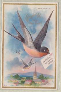Nash Bird Barn Swallow Greeting Series No 12 Vintage Postcard  
