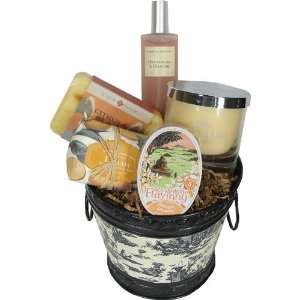  Orange Citrus Spa Housewarming Gift Basket Health 