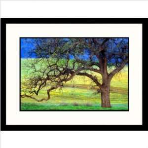  Oak Tree California Framed Photograph Frame Finish Black 