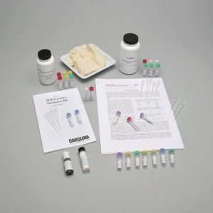 PCR Forensics Simulation 8 Station Kit  Industrial 